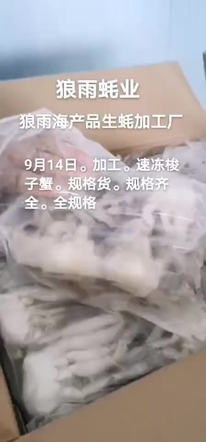 梭子蟹