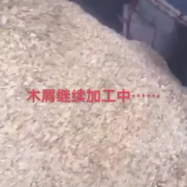 杂木屑