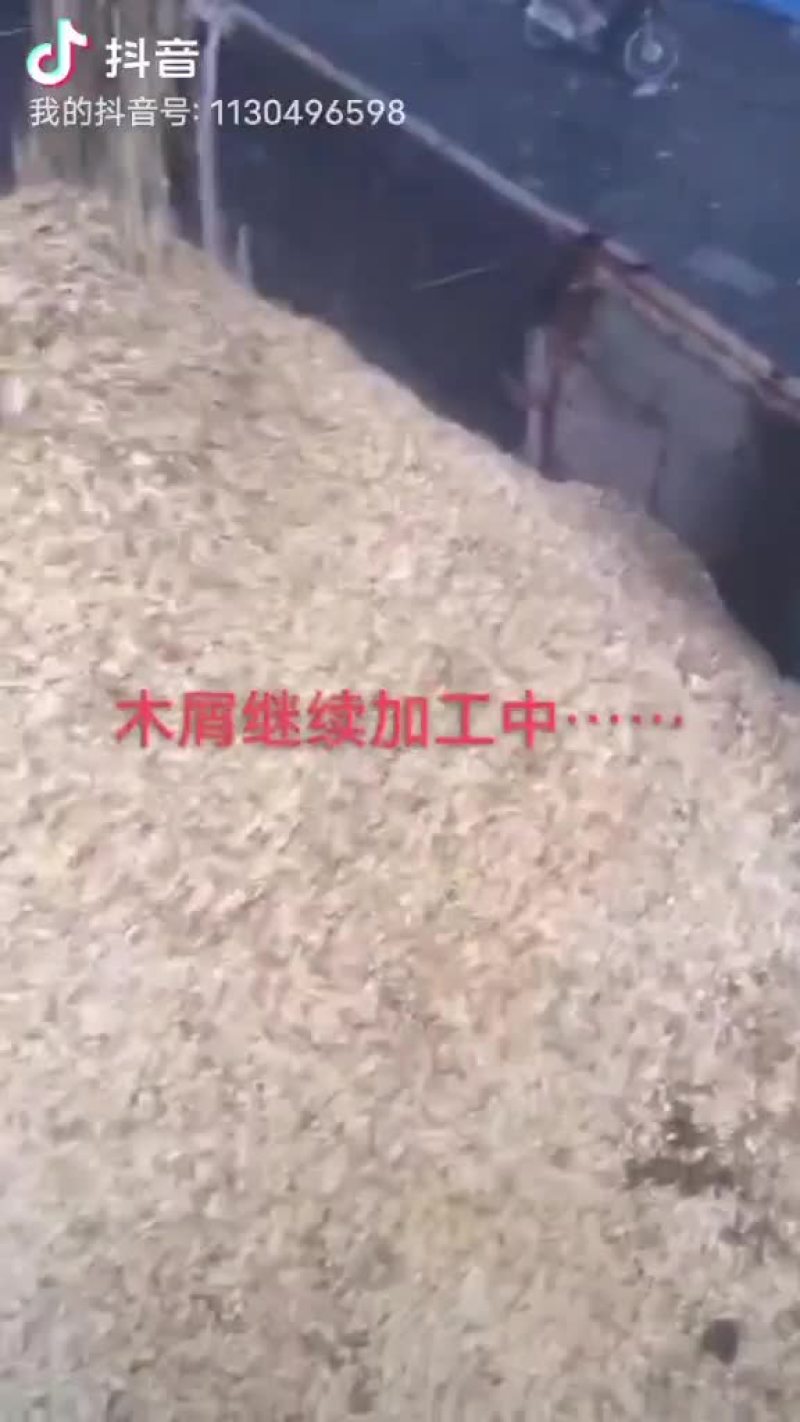 杂木屑