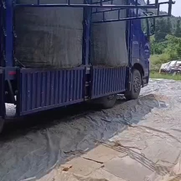 甘蔗渣