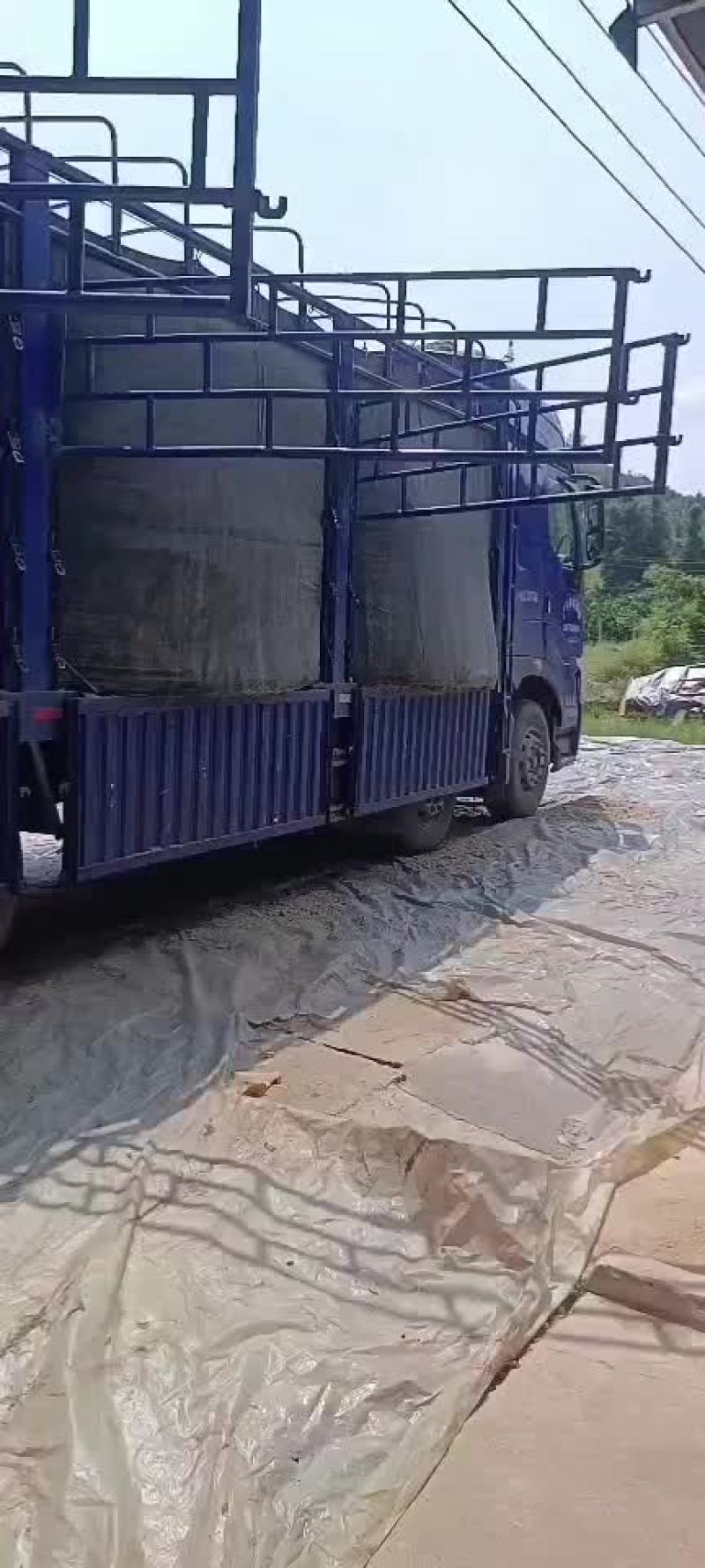 甘蔗渣