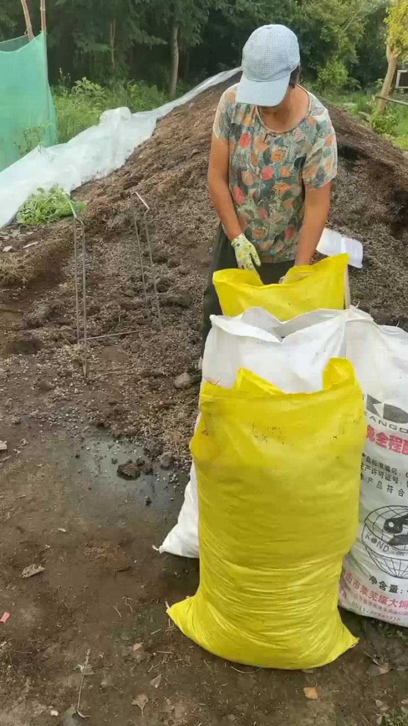 兔粪