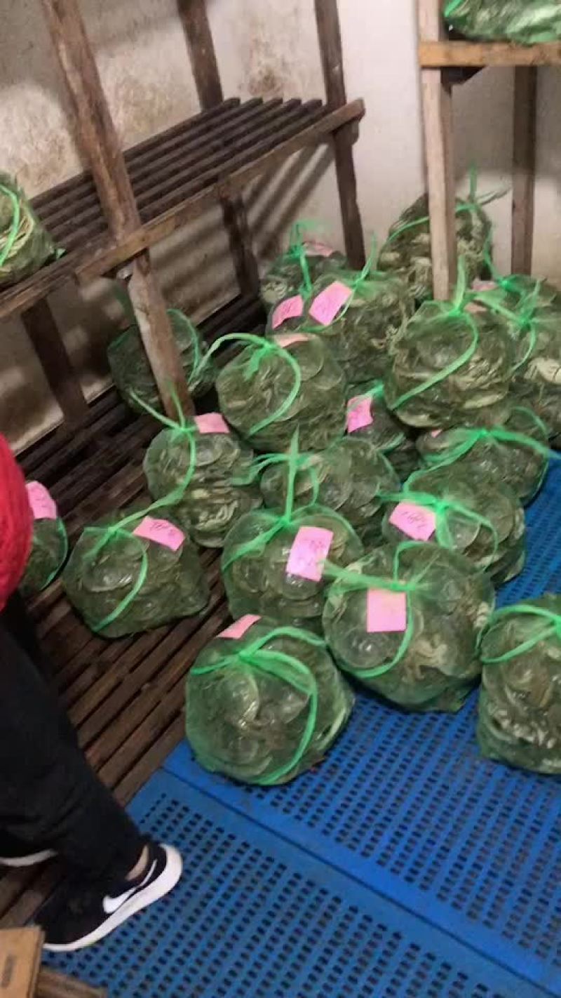 大闸蟹