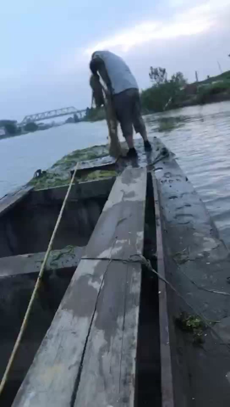 大闸蟹