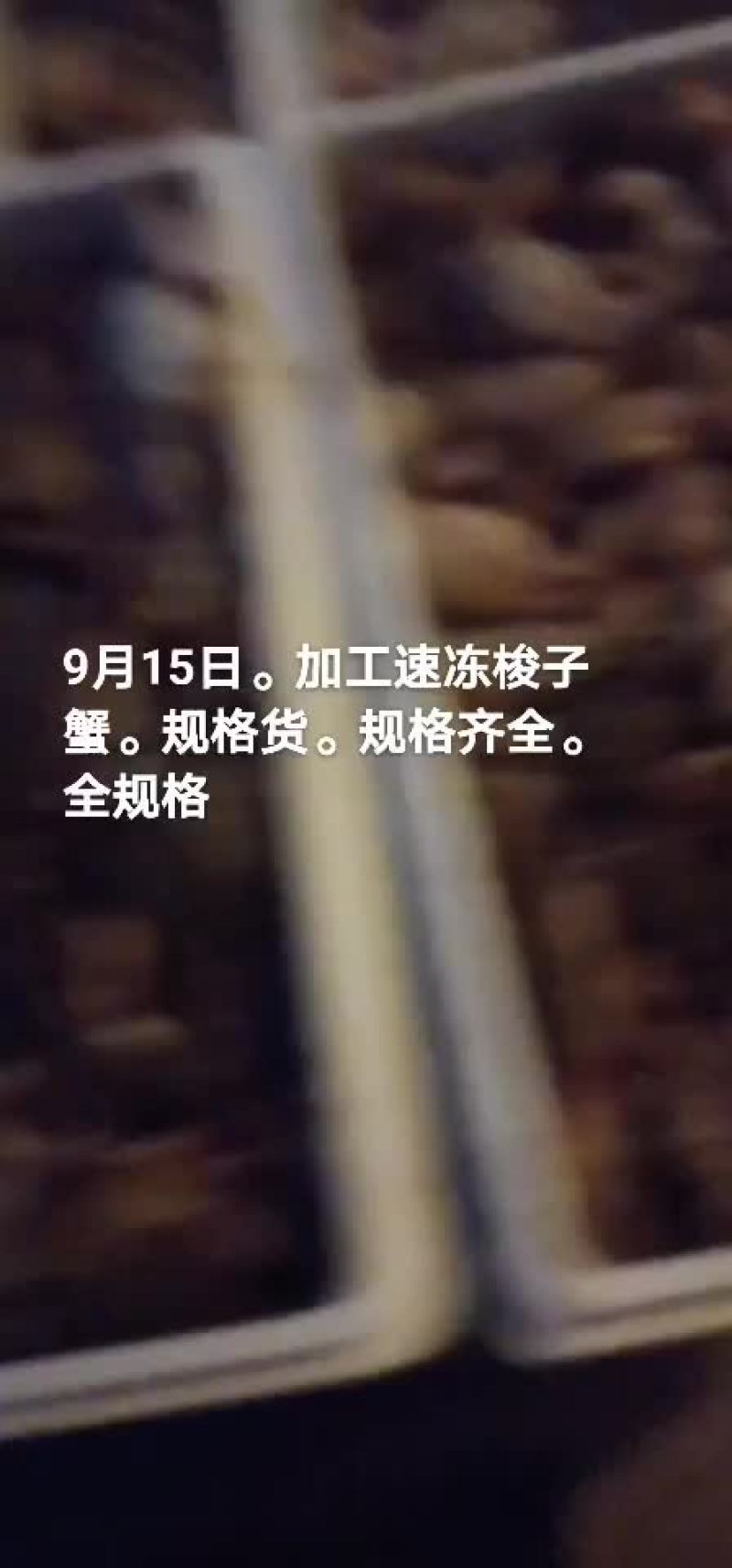 梭子蟹