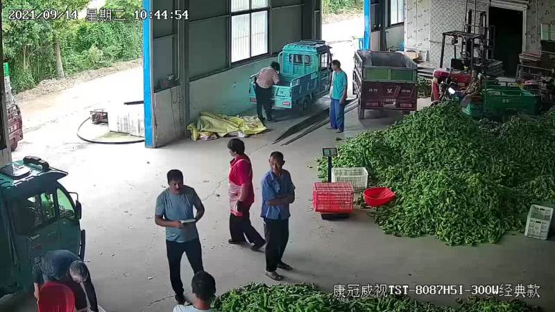 精品秋椒