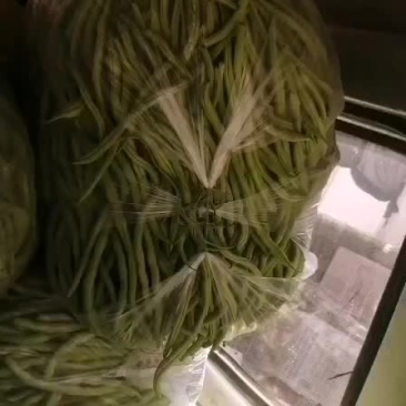 脱水厂豆王