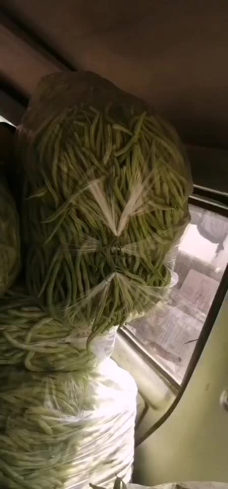 脱水厂豆王