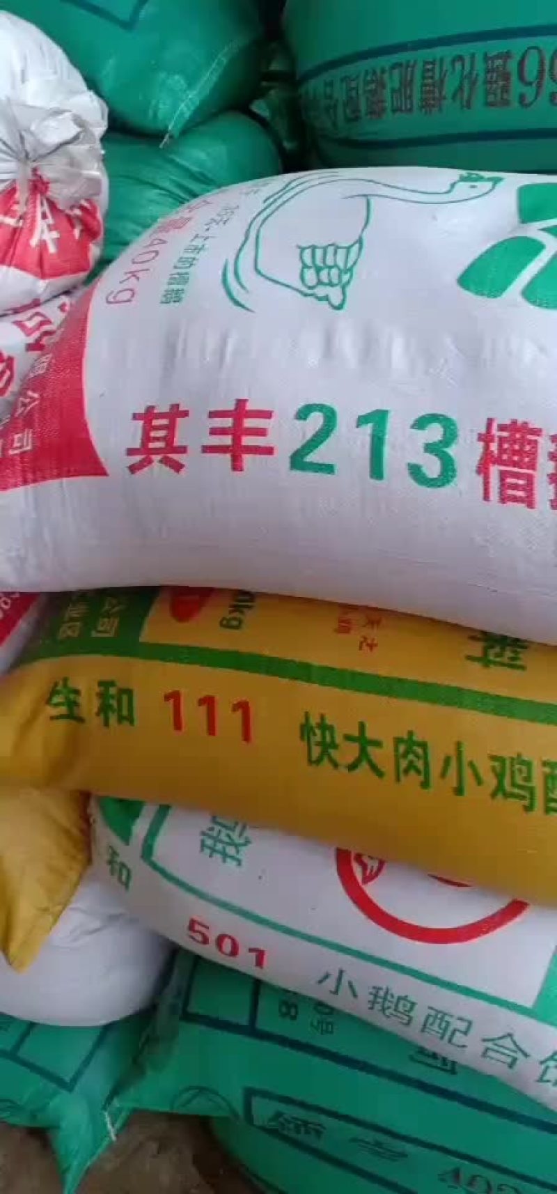 杉木糠