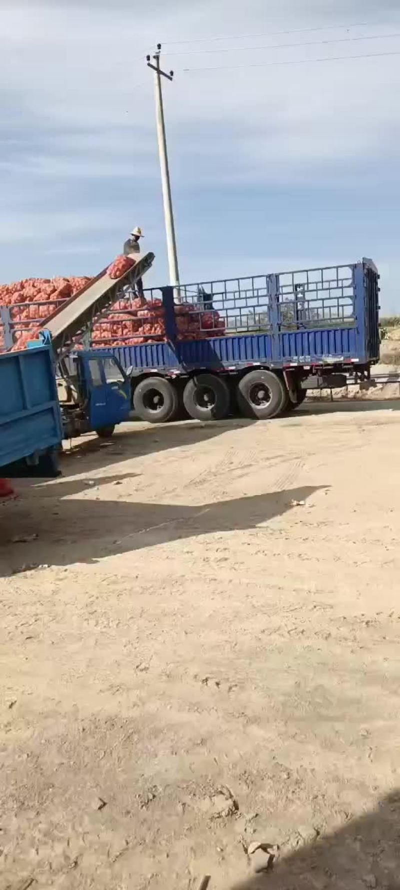 甘肃白银黄皮洋葱产地一级货源