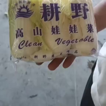 精品小娃娃菜