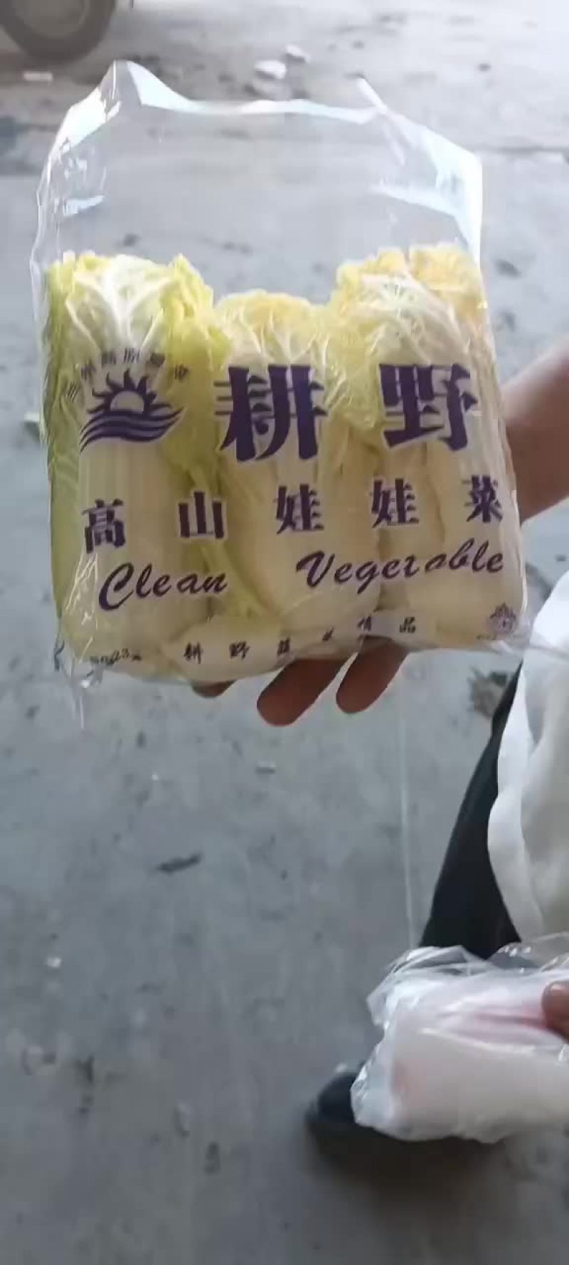 精品小娃娃菜