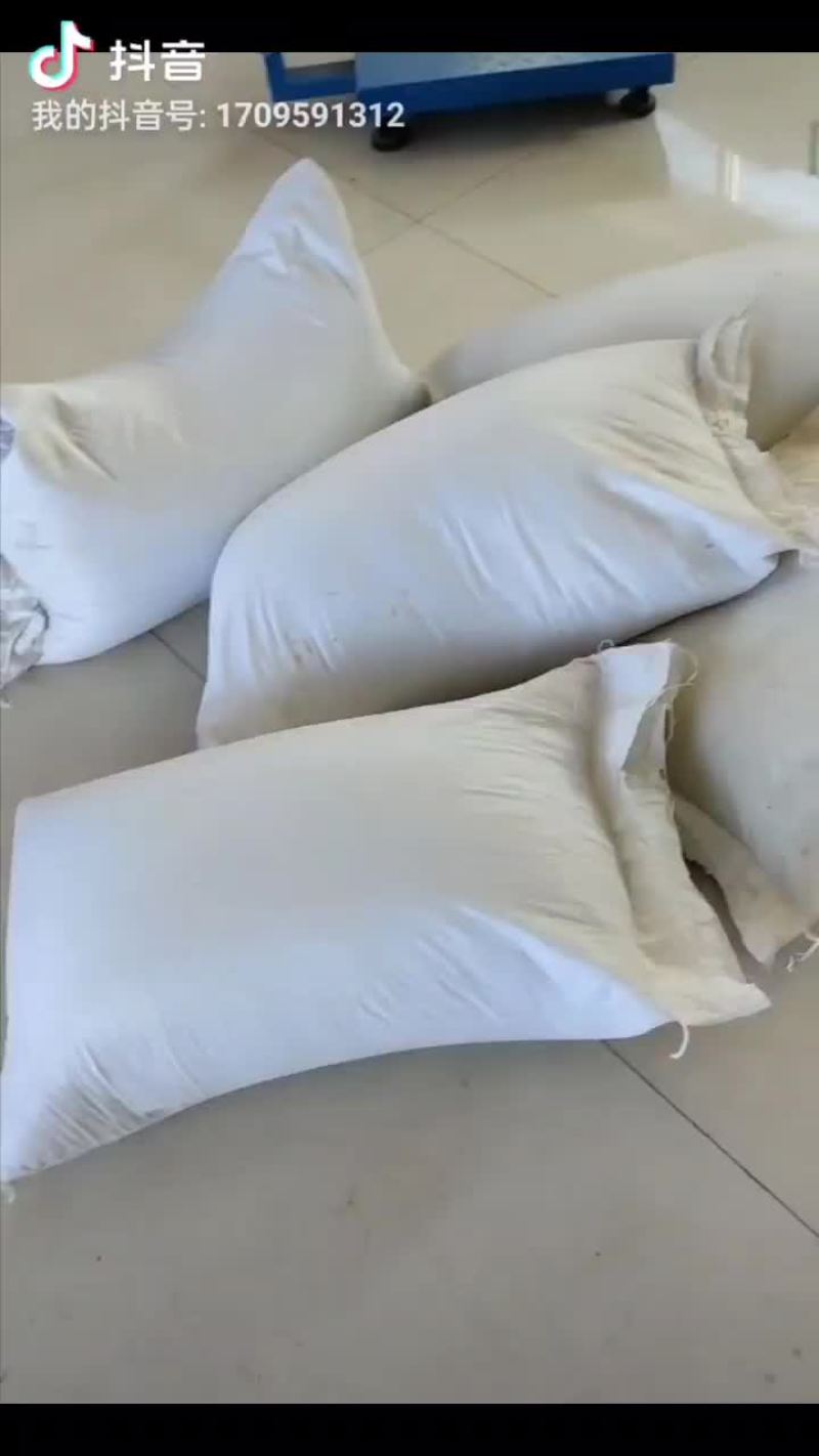桔梗种