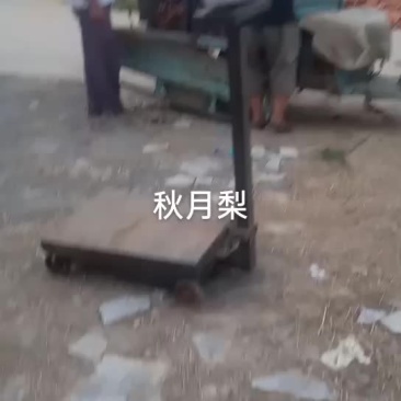 秋月