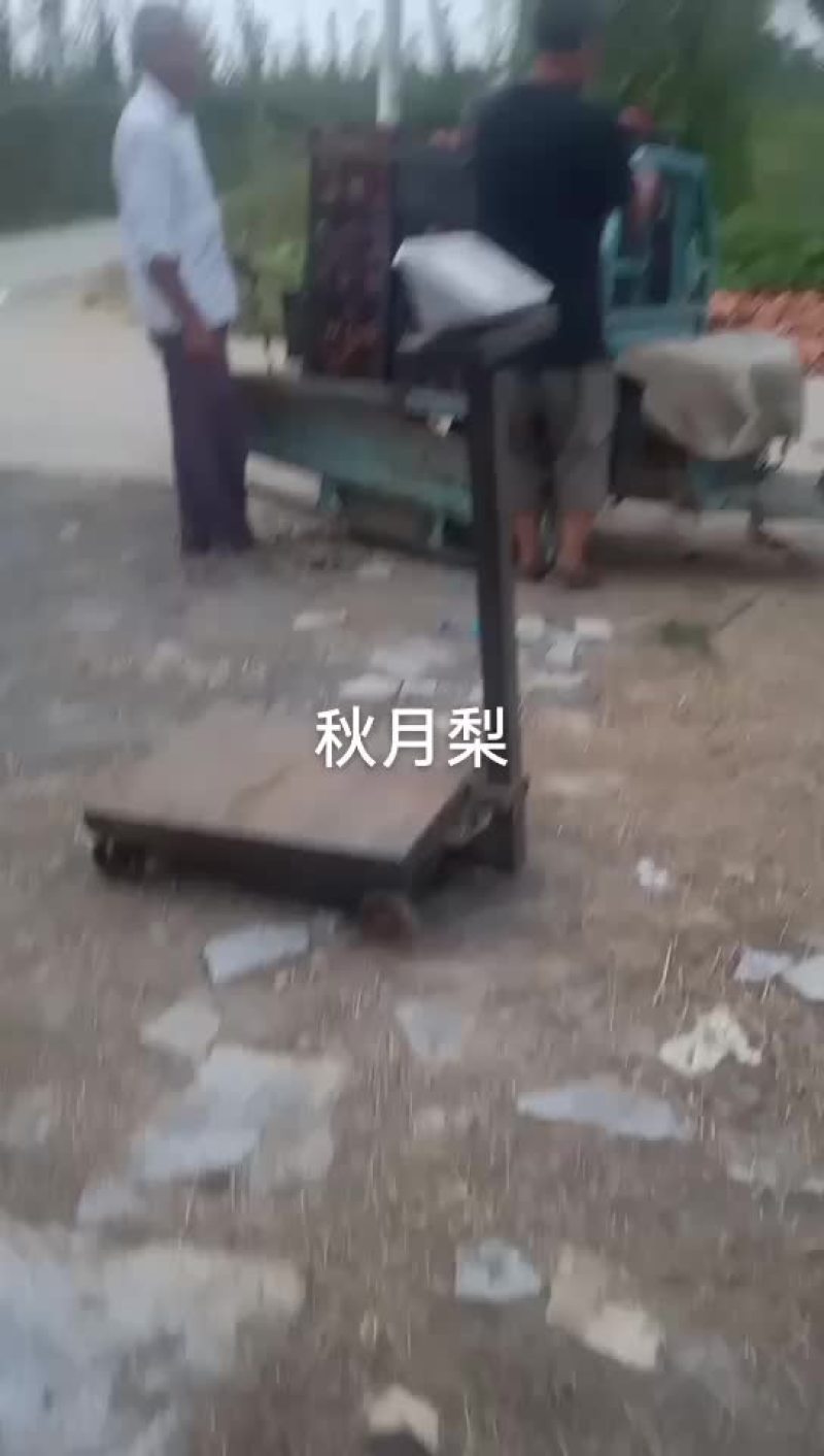 秋月