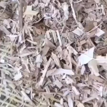 优质扎段玉米秸秆草块