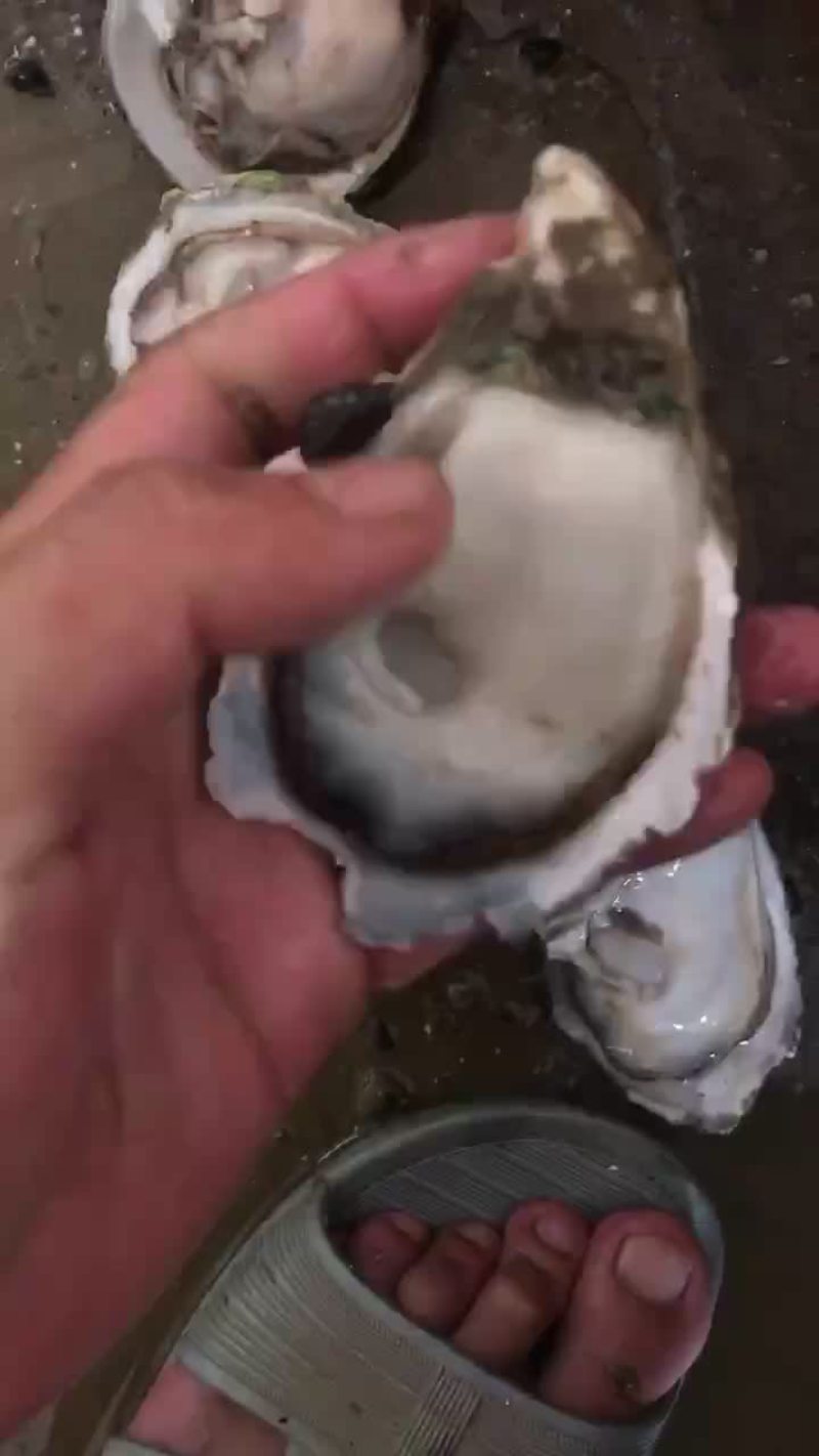 生蚝批发产地直销