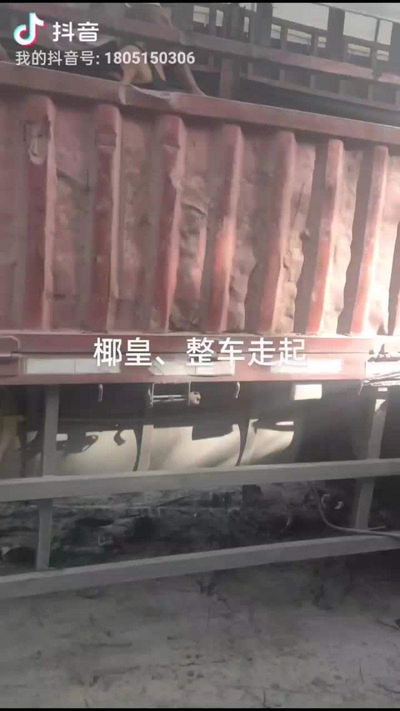 椰皇