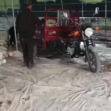 出菇菌包