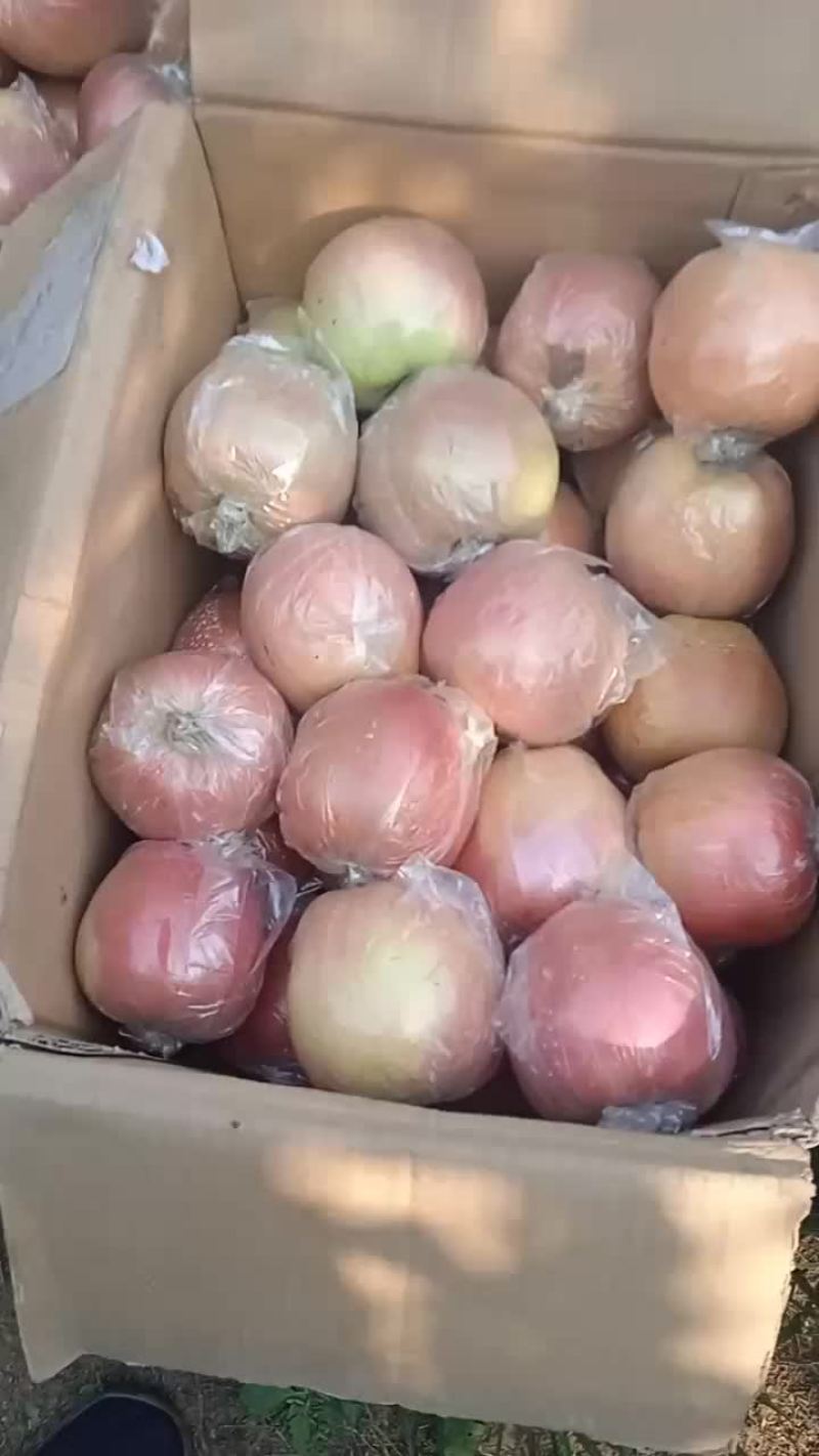 中秋王萍果个大色好特甜