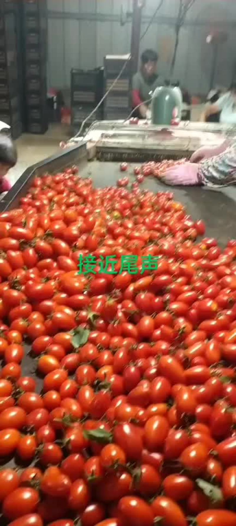 价格落了