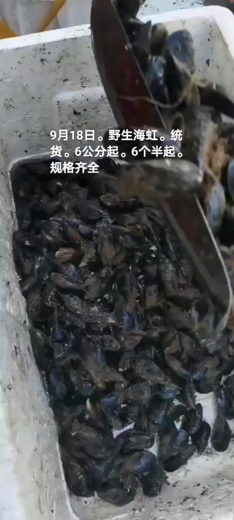 海虹