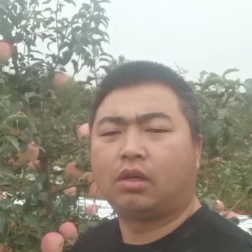 寒富