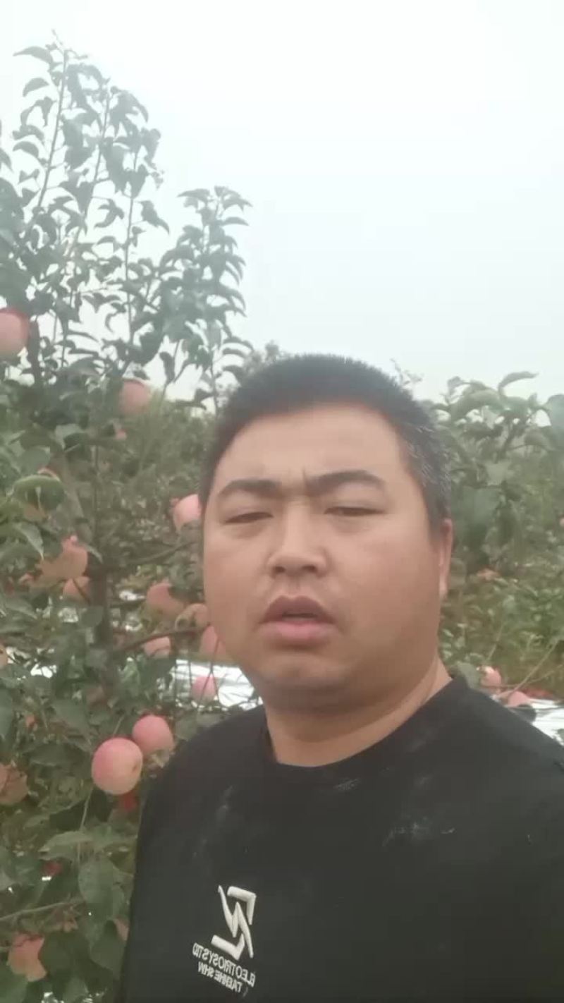 寒富