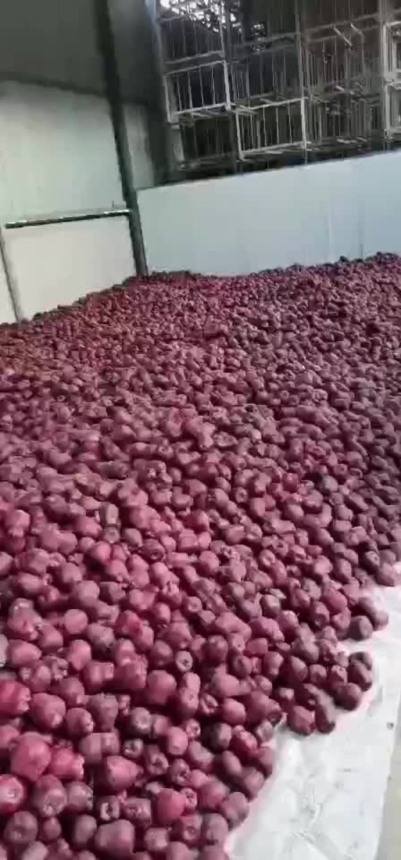 花牛苹果电商外贸苹果产地直销