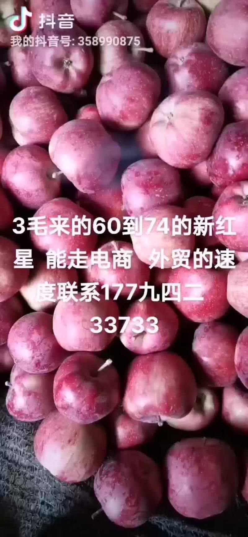 花牛苹果电商外贸苹果产地直销