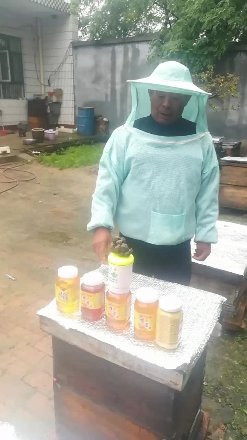 我卖自产纯蜂蜜，洋槐，枣花，荆条，百花，王浆，花粉，蜂胶