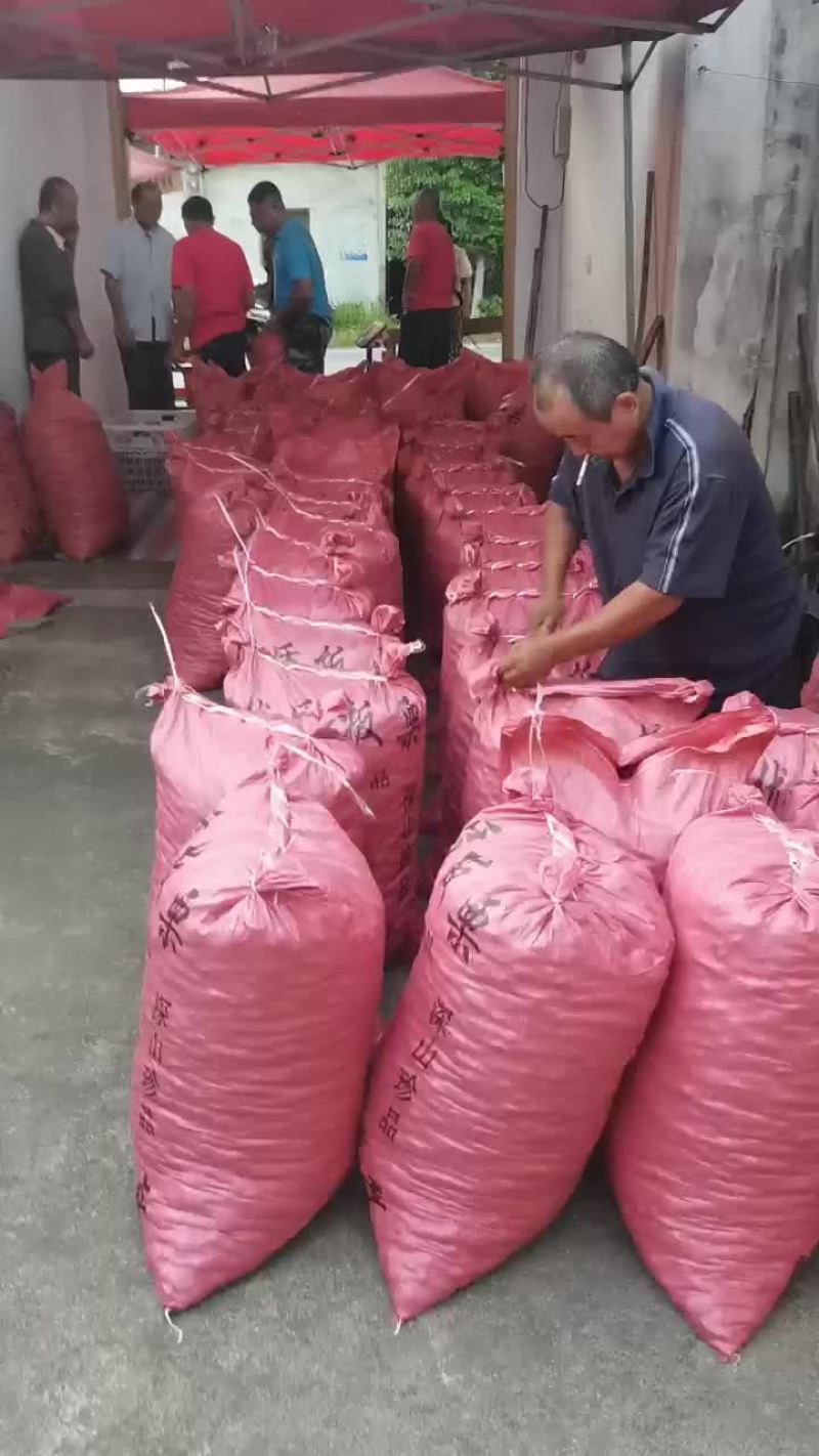 新鲜板栗口感好