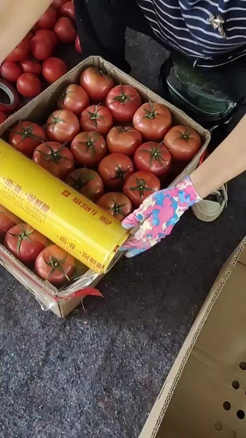 西红柿