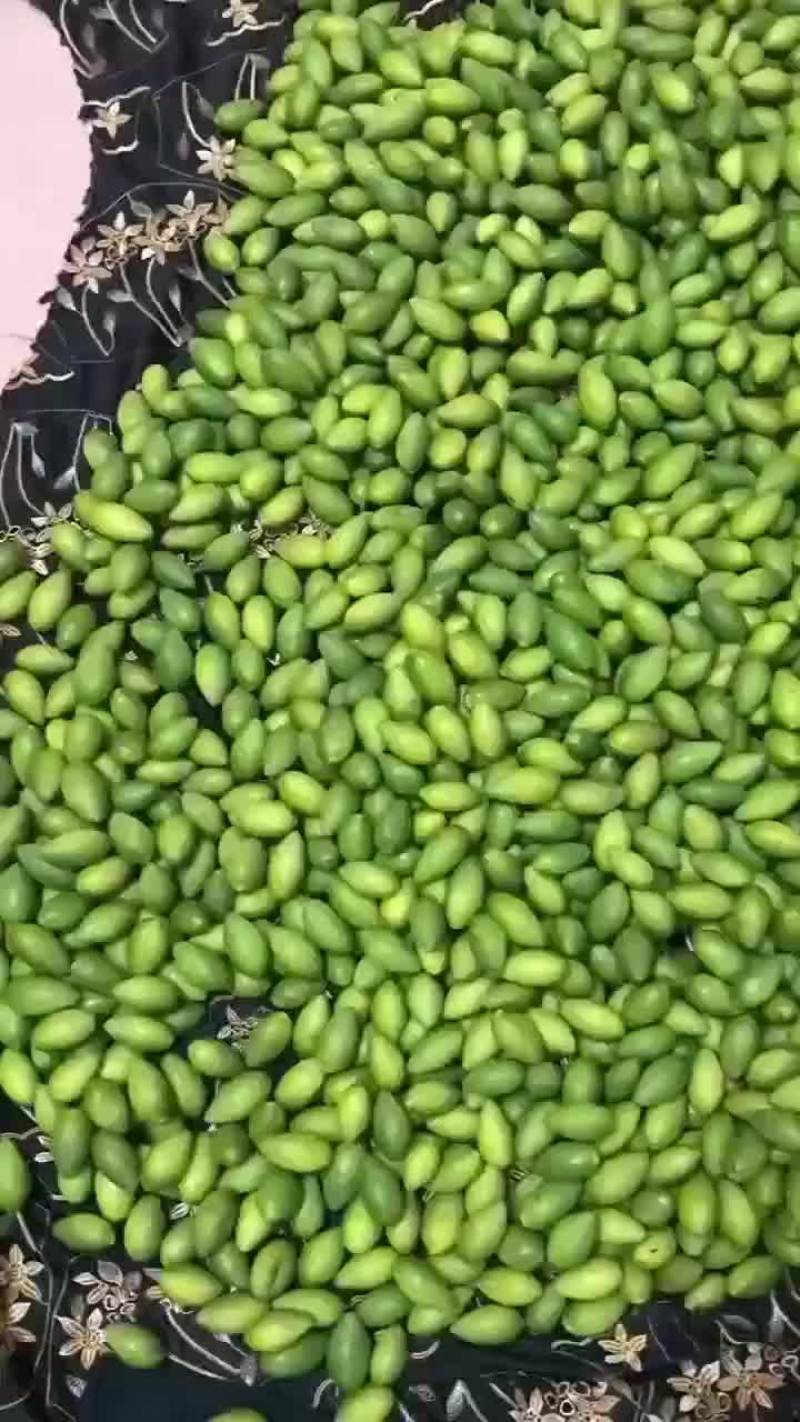 青橄榄