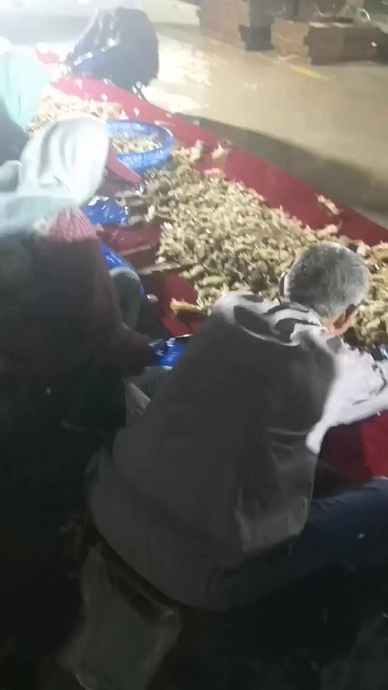 皮皮虾大量有货，质量超级好，量大从优，欢迎骚扰。