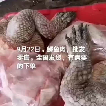 鳄鱼肉