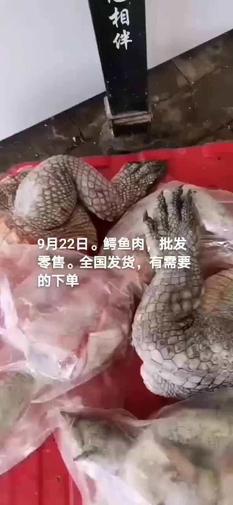 鳄鱼肉
