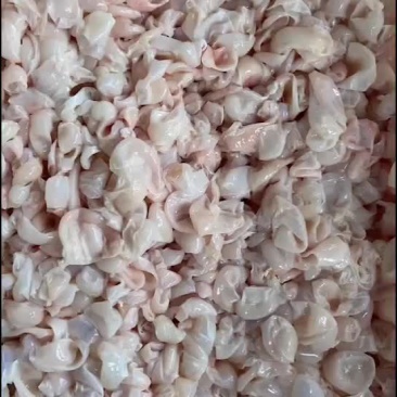 鱼泡内泡自产自销