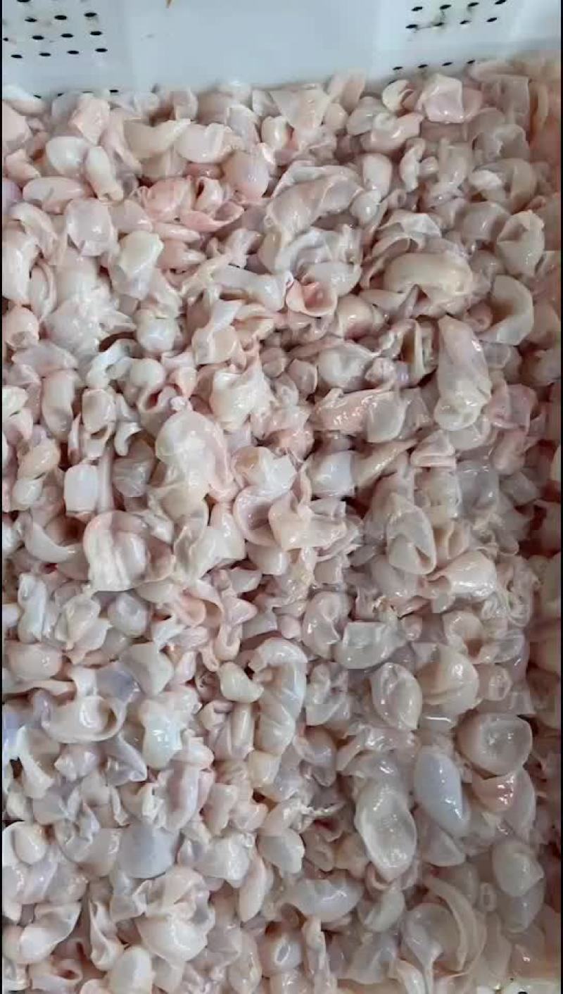 鱼泡内泡自产自销