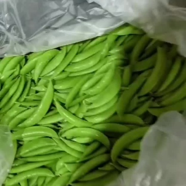 甜豆