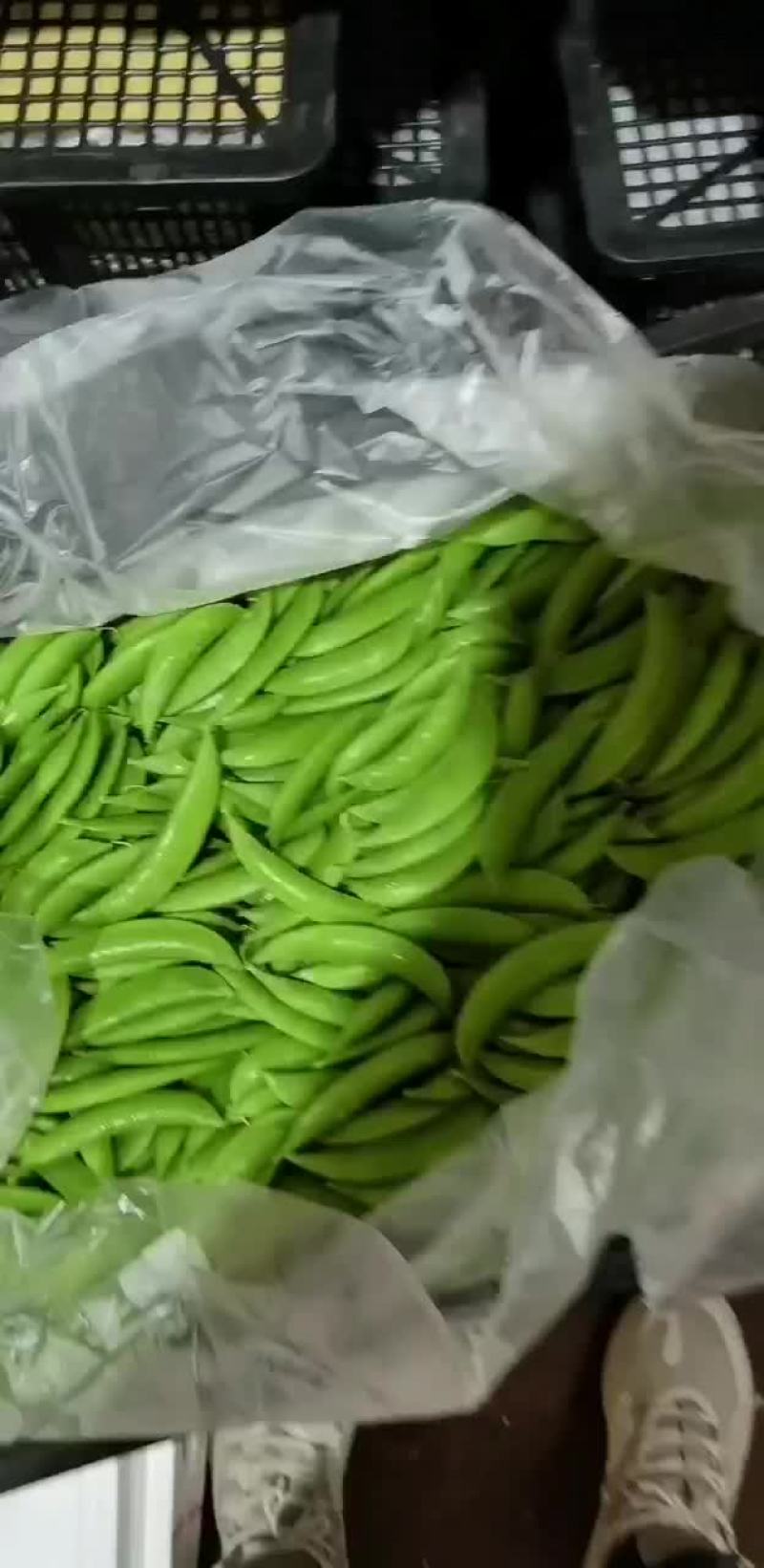 甜豆