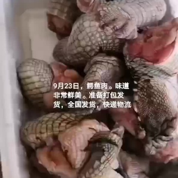 鳄鱼肉