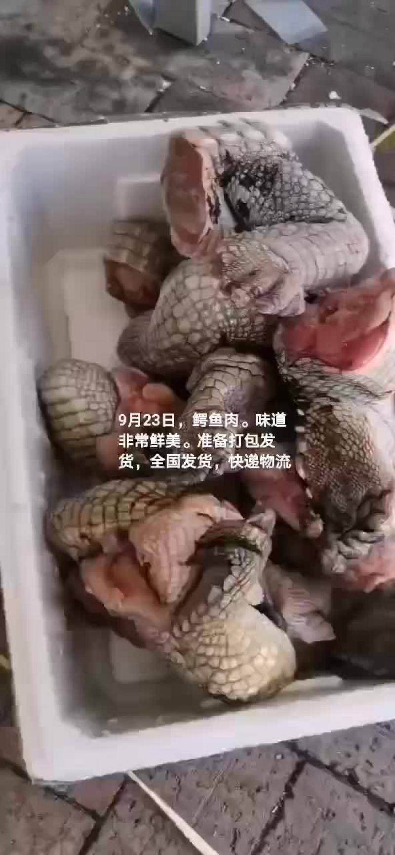 鳄鱼肉