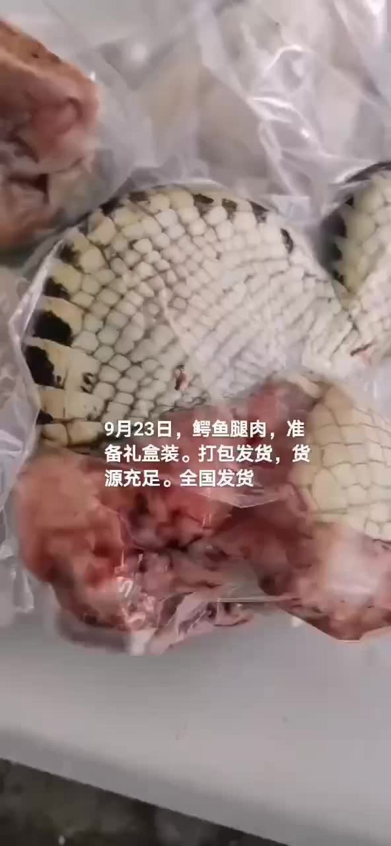 鳄鱼肉