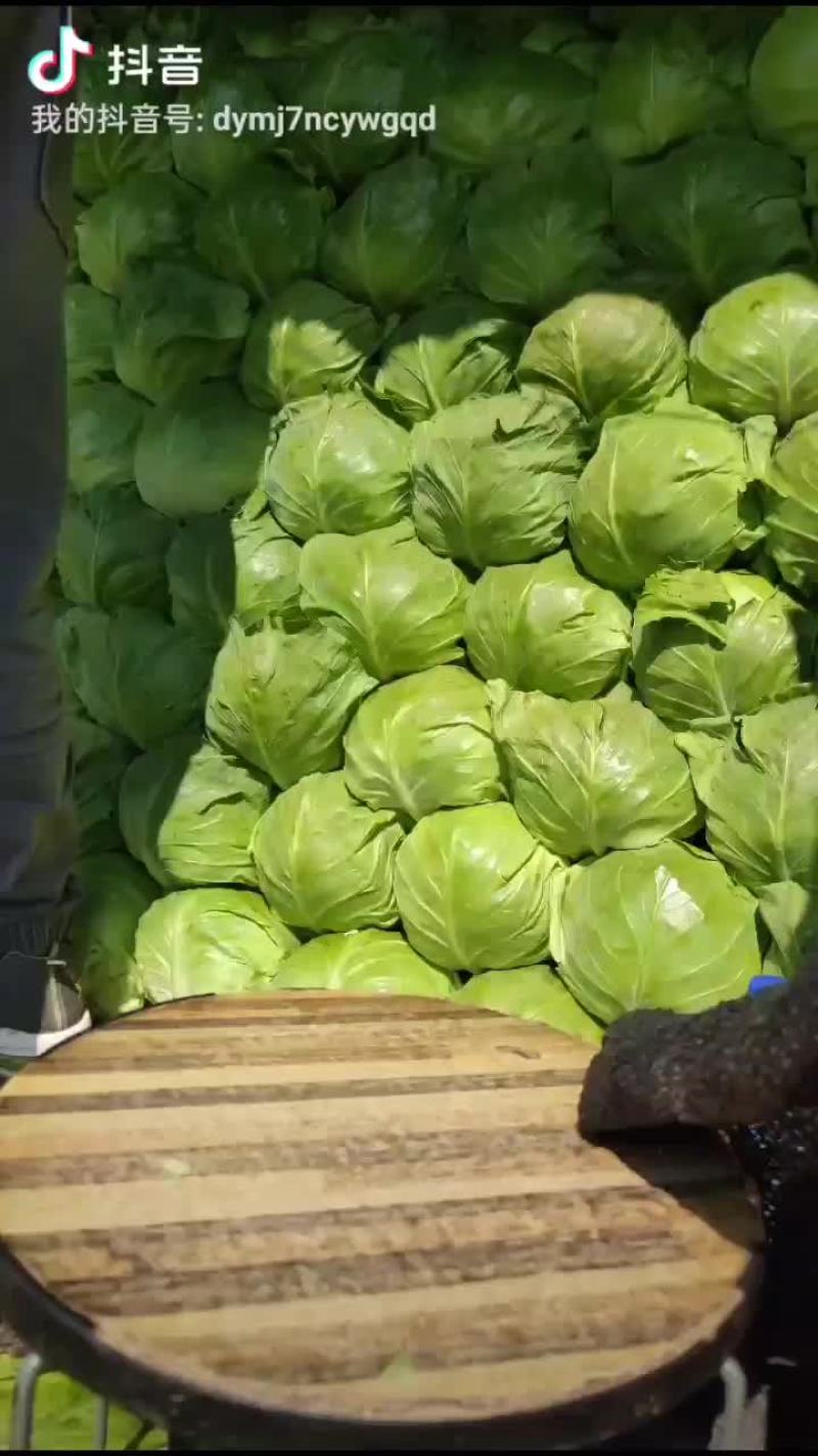 精品甘蓝