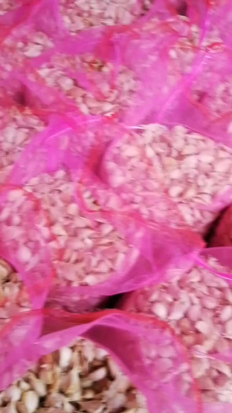 河北蒜瓣
