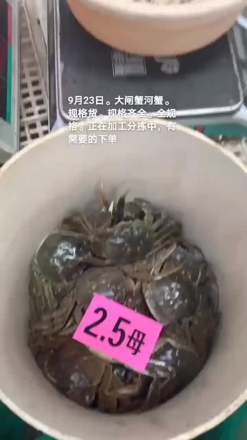 大闸蟹
