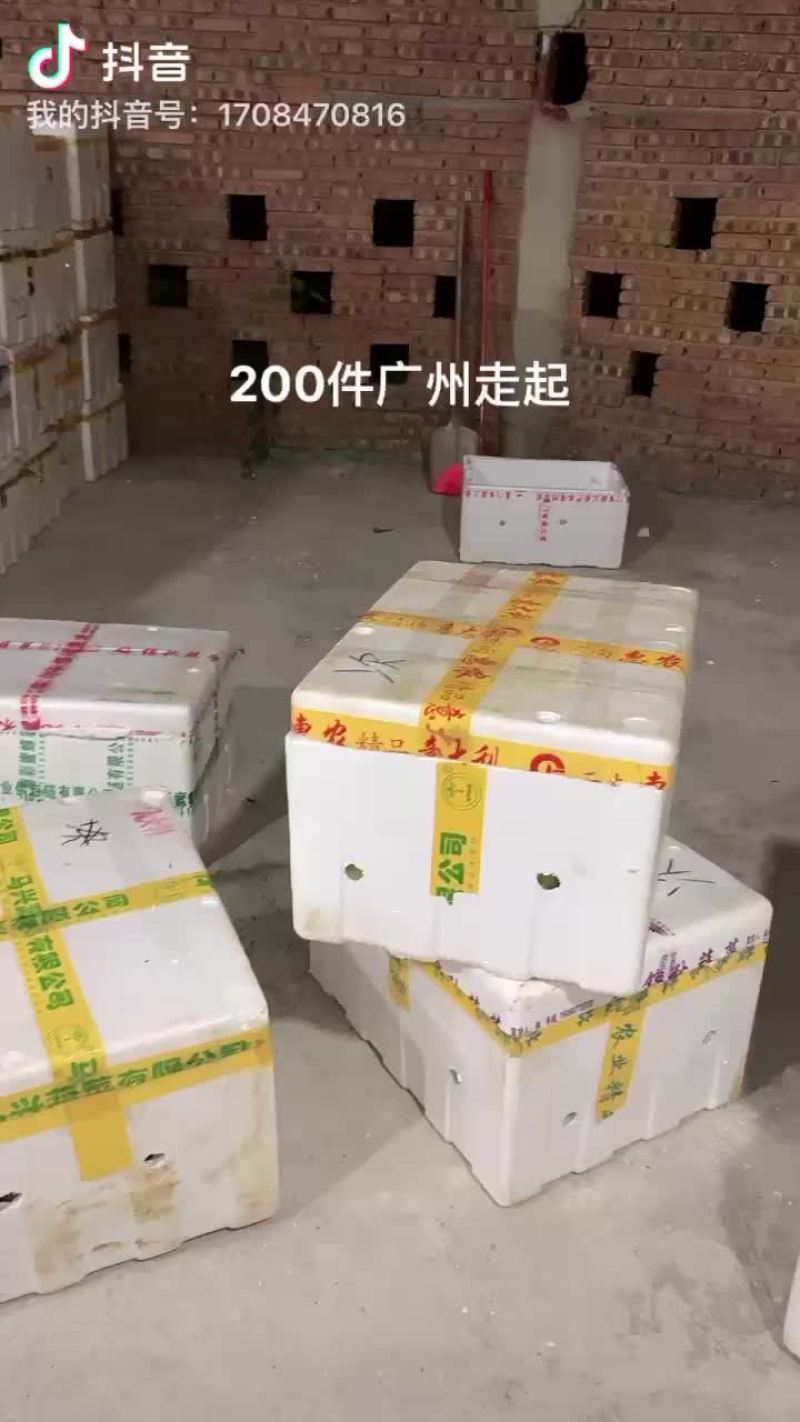 黄金百香果