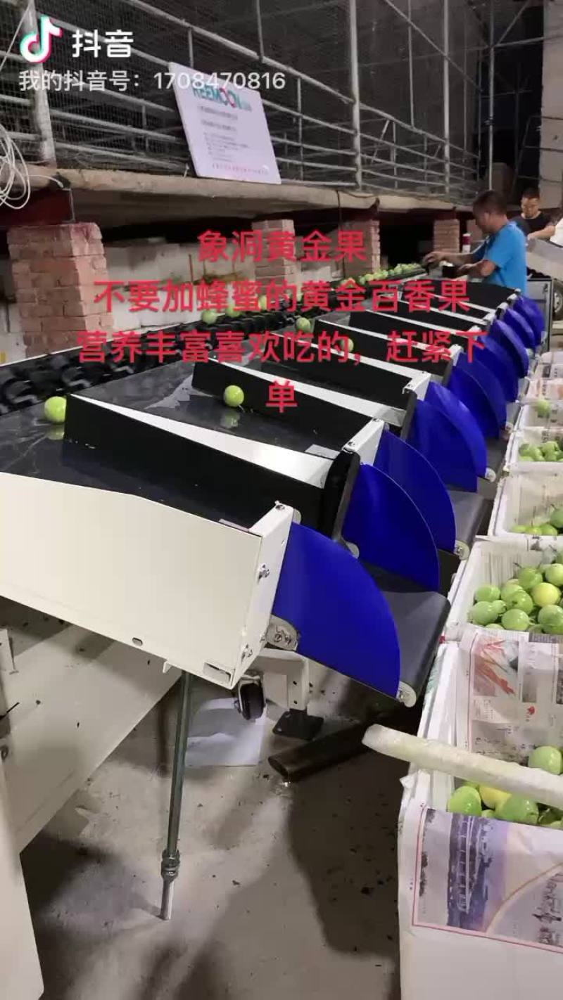 黄金百香果