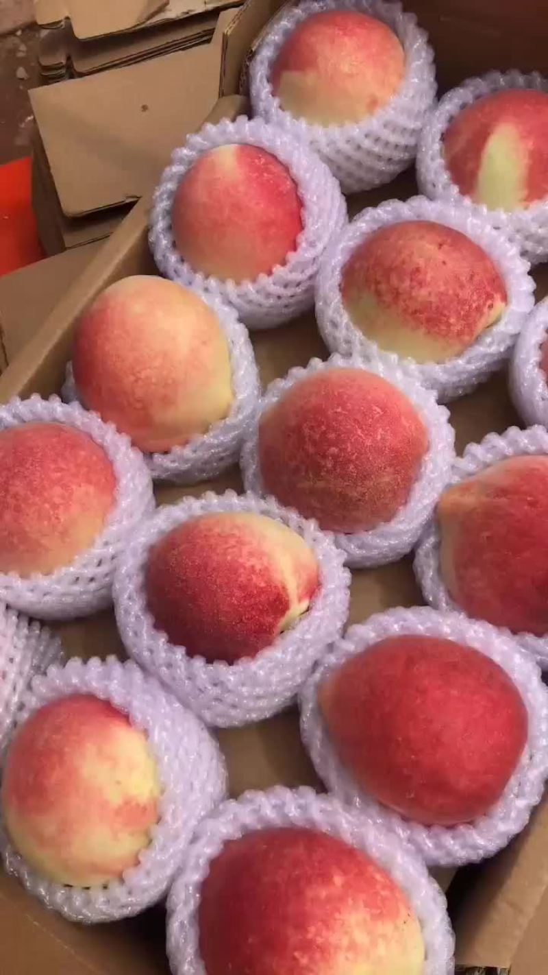 雪桃
